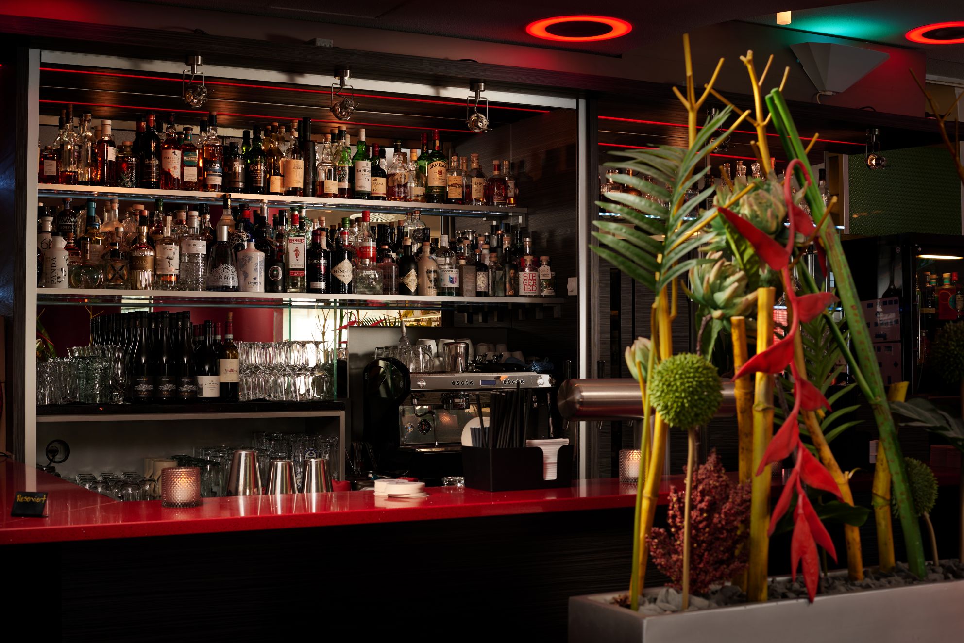 Leere Bar mit roten Akzenten und Flaschenregal neben Pflanzenarrangement